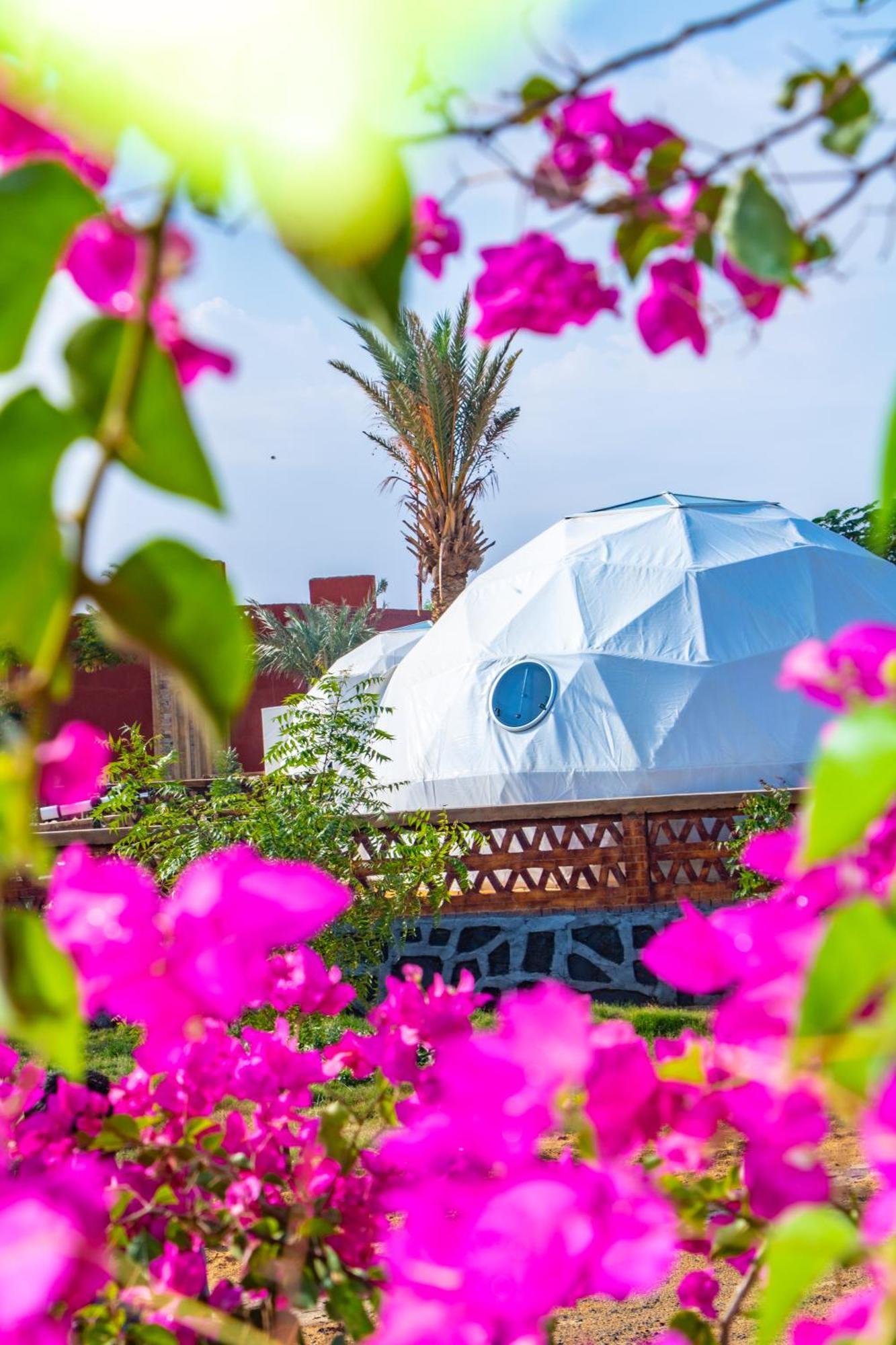 B&W Sahara Sky Camp Hotel Farafra Exterior photo